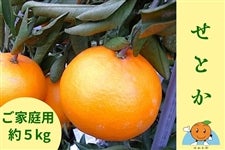 �R���哇�݂���u���Ƃ��v�y���ƒ�p�E��5kg�z�`�݂���̓����炨�͂��`