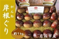 ypEʌTP[Xzuݍ()v Pkg