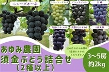 [ݔ_]u{Ԃǂ l (ȏ)v 9/5()`
