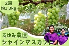 [ݔ_]uVC}XJbgE{Ԃǂv 8/15()`