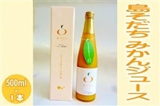  ݂W[X 500ml 1{
