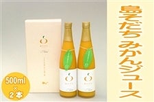 母の日 島そだち みかんジュース 500ml 2本