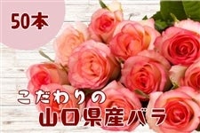 Y_꒼Ĩỏԑ 50{