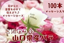 Y_꒼Ĩỏԑ 100{ (bZ[W[YP{)