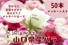 ̓  Y_꒼Ĩỏԑ 50{ (bZ[W[YP{)