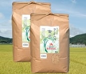 玄米 「コシヒカリ」 令和３年産・10kg(5kg×2)
