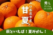 ���Ă������銹�k ���́u�Éāv�G�k�T�C�Y ��10kg�y���ʌ���20�P�[�X�z