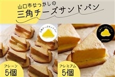 �O�p�`�[�Y�T���h�p�� �v���[���E�v���~�A�� �e5��