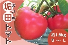 �Z���ȊÂ��Ɋ�����u�C�c(������)�̂��������g�}�g�v