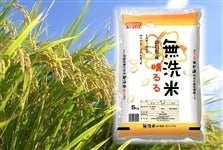 () ߘa6NY1(5kg)