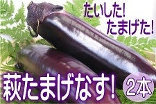 I܂I܂ȂIڂ܂܂Iy2{z