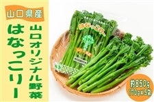 ͂Ȃ[ 850g