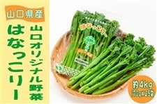 ͂Ȃ[ 4kg
