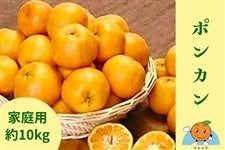 �R���哇�݂���u�|���J���v�y���ƒ�p�E��10kg�z�`�݂���̓���肨�͂��`