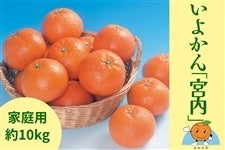 �R���哇���悩��u�{���v�y���ƒ�p�E��10kg�z�`�݂���̓����炨�͂��`