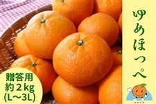 �y���������z���Ȃ��̖�����������I�R�����܂�̊��k�u��߂ق��؁v�y���ʌ���10�P�[�X�z