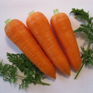 ザ・キャロット (160g×30本)×2箱: 新鮮大好き徳島|【JAタウン】産地