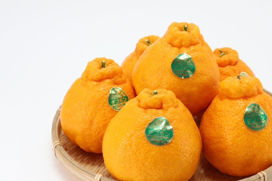 徳島県産ハウスデコポン 3kg化粧箱（8～10玉）【無加温】: 新鮮大好き