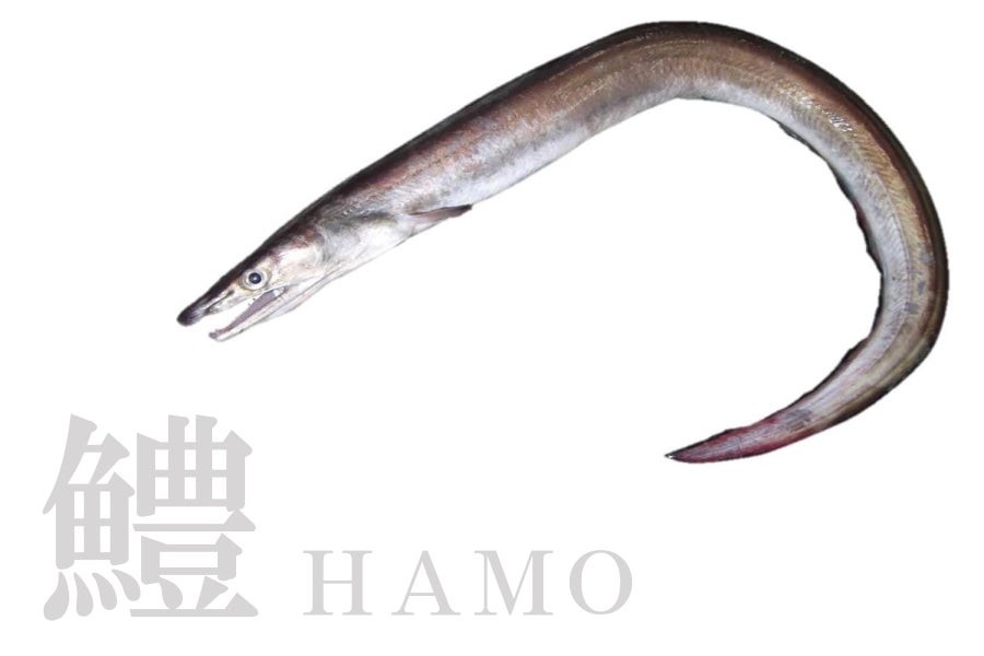 産地直送 通販 お取り寄せ徳島産ハモ 鳴門鯛魚醤味付のり 4本組 新鮮大好き徳島 ｊａタウン