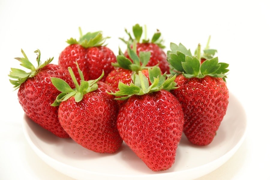 徳島県産　さちのか　1パック約280ｇ×8パック　クール便発送 fruits-senri_sachi4s