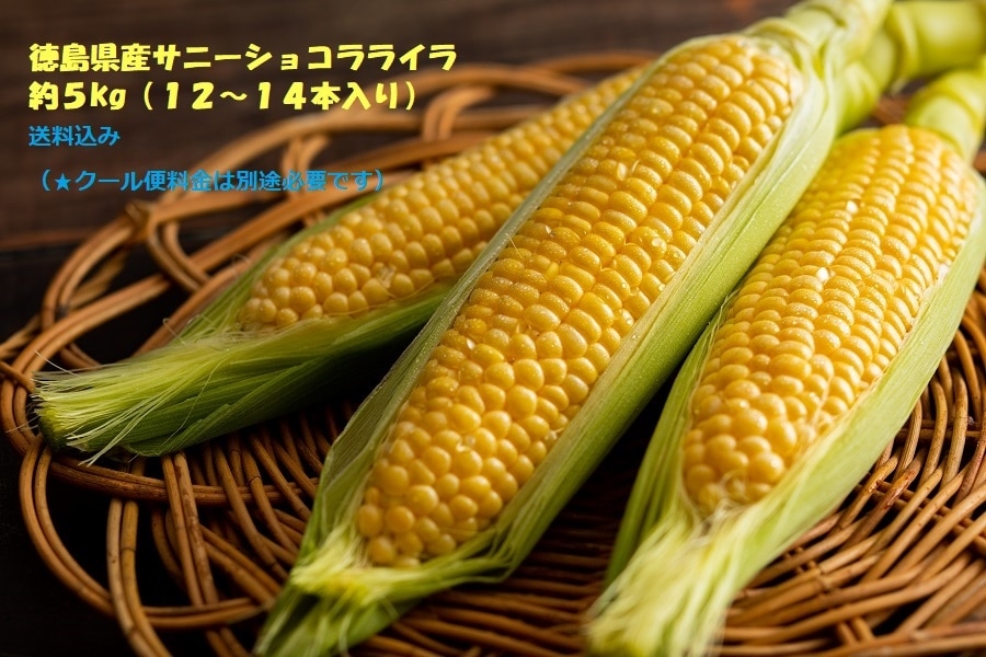 徳島県産スイートコーン1箱『サニーショコラライラ12～14本入り』☆6
