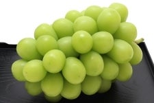 徳島県産シャインマスカット 1房 (約700g)×1箱: 新鮮大好き徳島|【JA