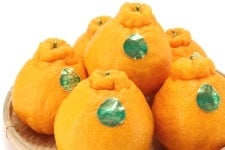 徳島県産ハウスデコポン 3kg化粧箱（8～10玉）【無加温】: 新鮮大好き