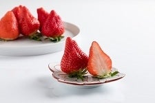  ���������߉͓��́y����������������z