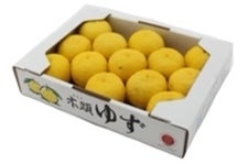 ̖ؓ䂸 1.5kgi11`13ʓj×1