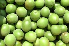 神山の梅「鶯宿(おうしゅく)」 Lサイズ 10kg