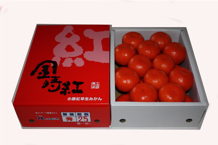 産地直送 通販 お取り寄せ 小原紅早生 金時紅 2 5kg L又はm お歳暮にも さぬき旬彩館 jaタウン 産地直送 通販 お取り寄せ 小原紅早生 金時紅 2 5kg L又はm お歳暮にも さぬき旬彩館 jaタウン
