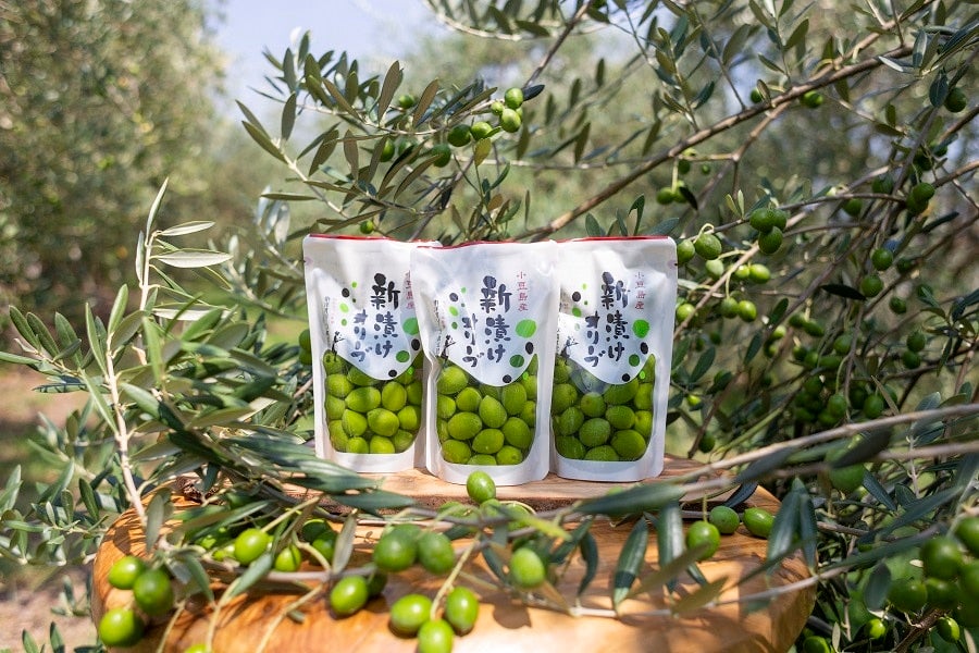 産地直送 通販 お取り寄せ新漬けオリーブ 小豆島産 80ｇ 6袋 さぬき旬彩館 ｊａタウン