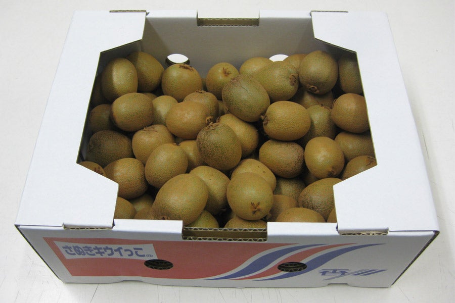 産地直送 通販 お取り寄せ「さぬきキウイっこ」2kg L又はM 【限定200箱】: さぬき旬彩館|ＪＡタウン