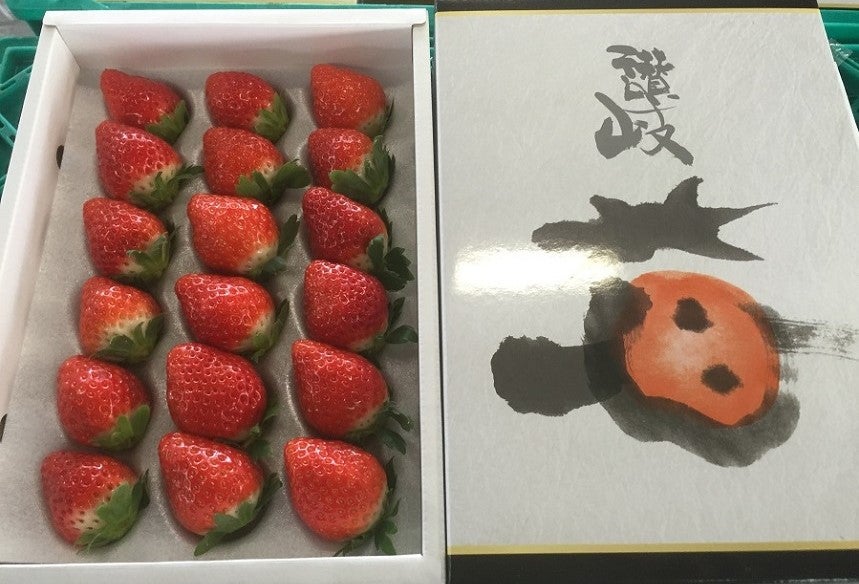 市場 ふるさと納税 さぬきひめいちご化粧箱 苺 約400ｇ 贈答用 冷蔵便 新鮮 産地直送  ギフト※2023年2月中旬〜5月上旬頃に順次発送予定※北海道 イチゴ