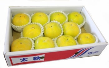 【太秋柿】4キロ箱7個入１箱　11個入２箱 太秋柿 M 4kg(11個～12個）: さぬき旬彩館|【JAタウン】産地直送