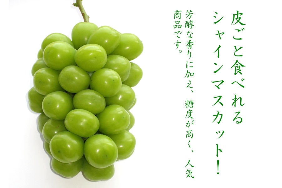 シャインマスカット約1.8kg: さぬき旬彩館|【JAタウン】産地