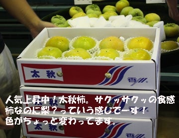 【太秋柿】4キロ箱7個入１箱　11個入２箱 太秋柿 M 4kg(11個～12個）: さぬき旬彩館|【JAタウン】産地直送