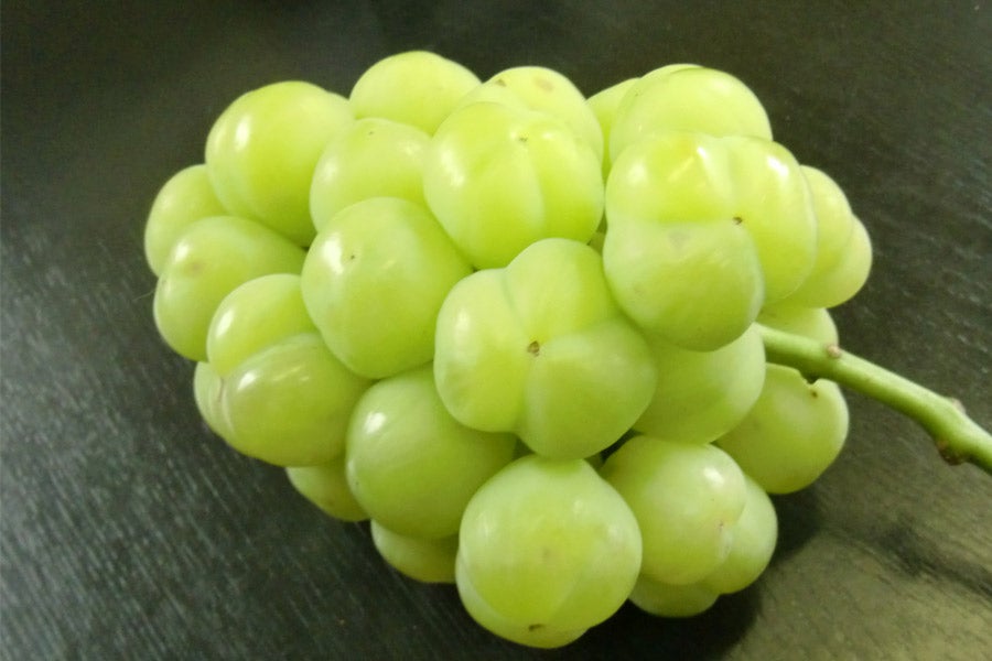 香川県産 瀬戸ジャイアンツ約2kg 【数量限定 50箱】: さぬき旬彩