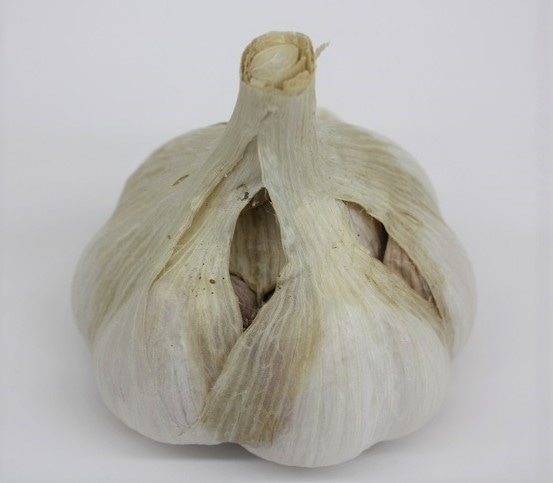香川県産 にんにく 1kg 業務・加工用！（2019年産：乾燥）: さぬき旬彩