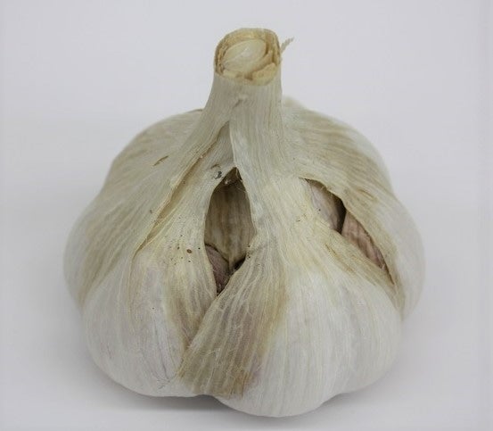 香川県産 にんにく 1kg×2箱 業務・加工用！（2019年産：乾燥