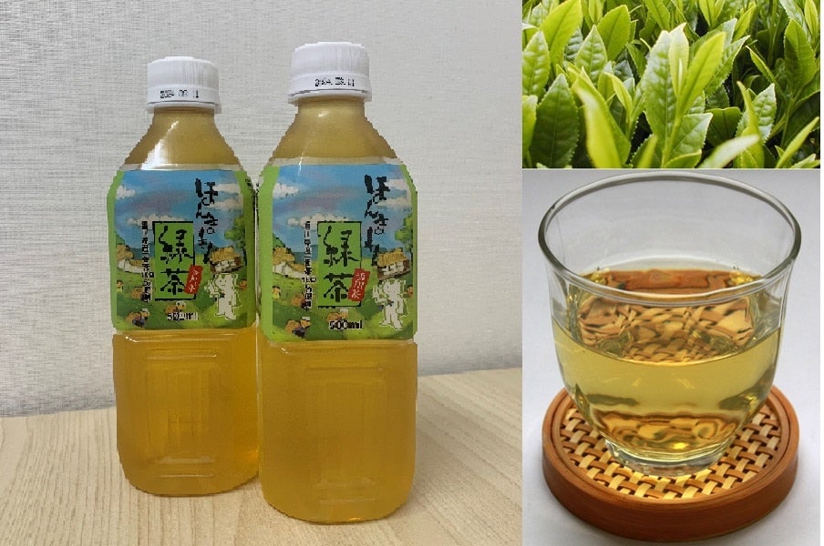 ほんまもん緑茶 ペットボトル 500ｍｌ×24本入り: さぬき旬彩館|【ＪＡタウン】産地直送 通販 お取り寄せ