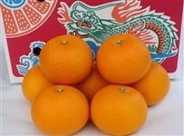 �����u�ۗ��͂������v 5kg/3L�`L�i12�ʁ`20�ʁj