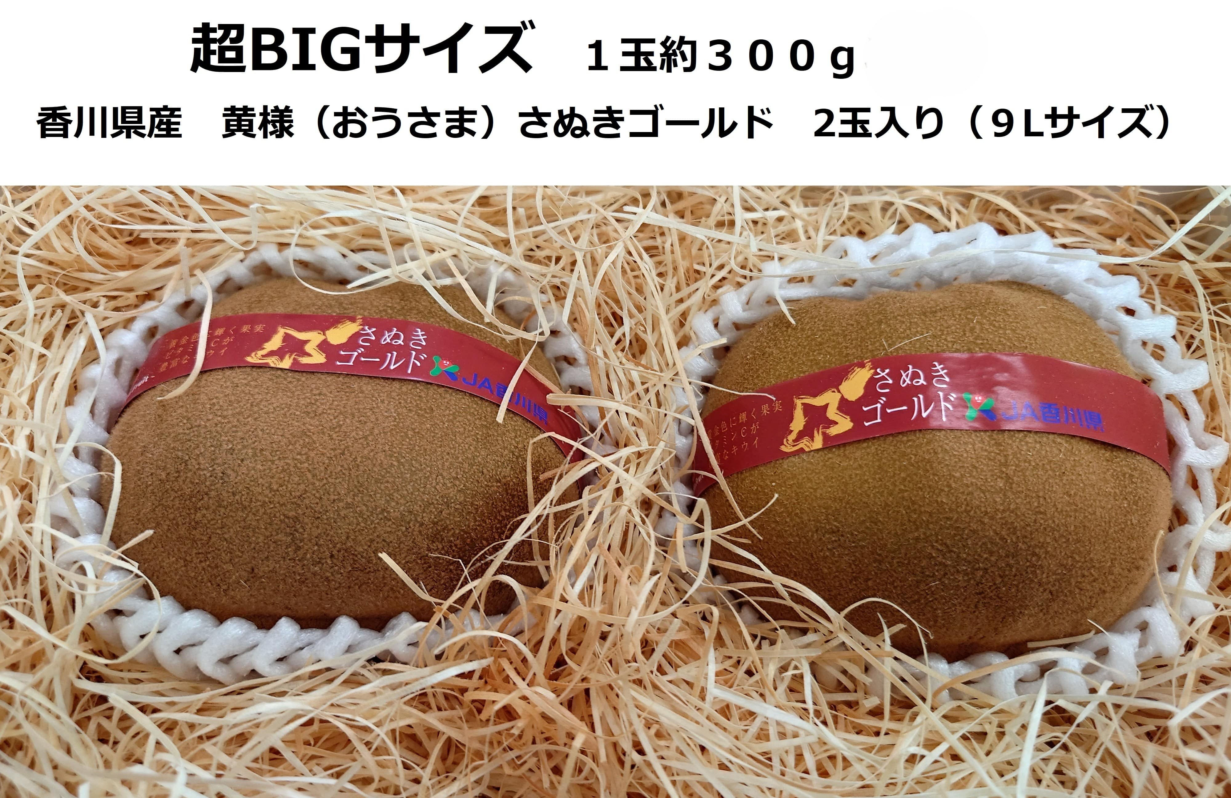 BIGIlʂS[h@9LTCYi1ʂ̏d300j 2ʓy20z