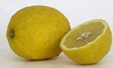 香川のレモン 5kg【業務用にも】