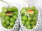 シャインマスカット2kg(家庭用）: さぬき旬彩館|【JAタウン