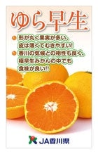 香川県産「ゆら早生みかん」 S/約5kg【限定30箱】: さぬき旬彩館