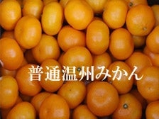 マル曽みかん L又はM 約10kg【お歳暮にも】※サイズ指定不可