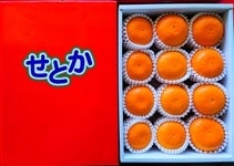 ���쌧�Y�w�n�E�X���Ƃ��x2L����3L(��3�s)�@2�����{����o�׊J�n