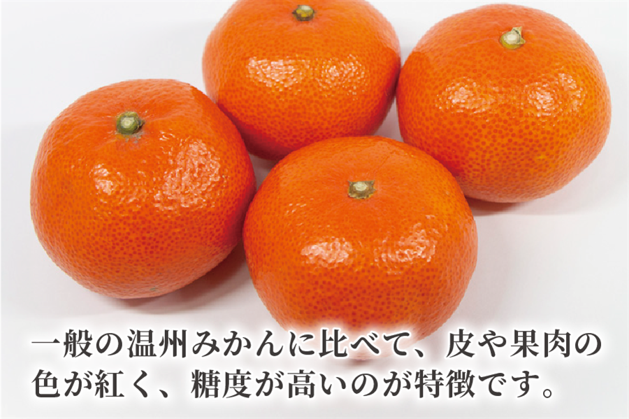 ※画像はイメージです。