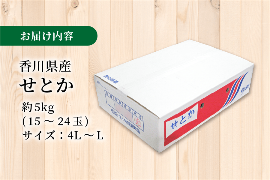 ゆっか様の専用ページになります!!(7袋) 2袋】静岡茶 揉一ひとえ つゆひかりブレンドティーバッグ（5g包